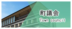 町議会