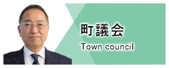 町議会