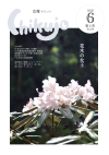 最新号