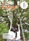 最新号