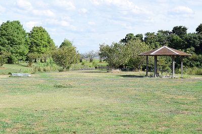 築上町農業公園（しいだアグリパーク）水辺広場