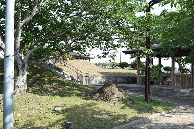 ふるさと公園広場（自然）の画像