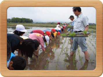 田植え授業画像