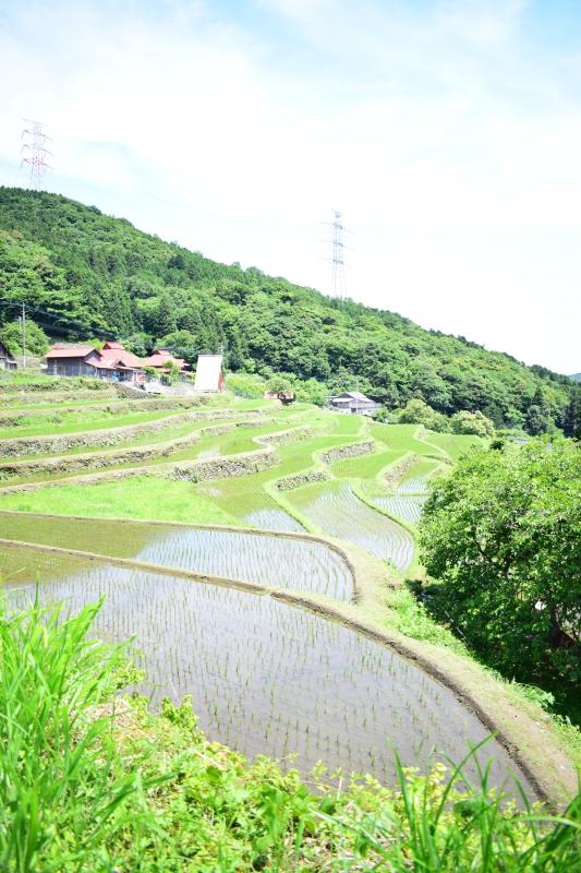 龍城院棚田