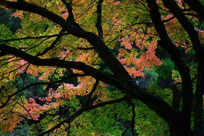 1104_03.jpg
