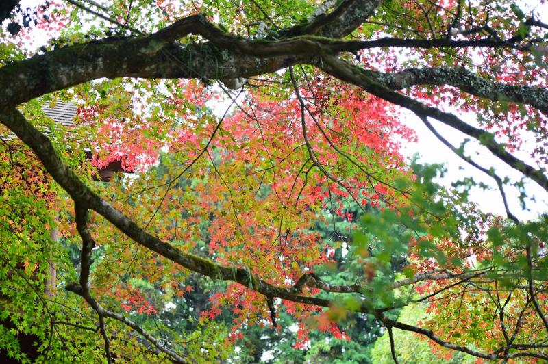 1104_04.jpg