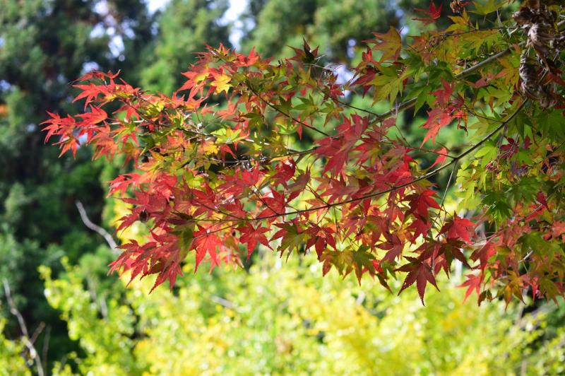1104_06.jpg
