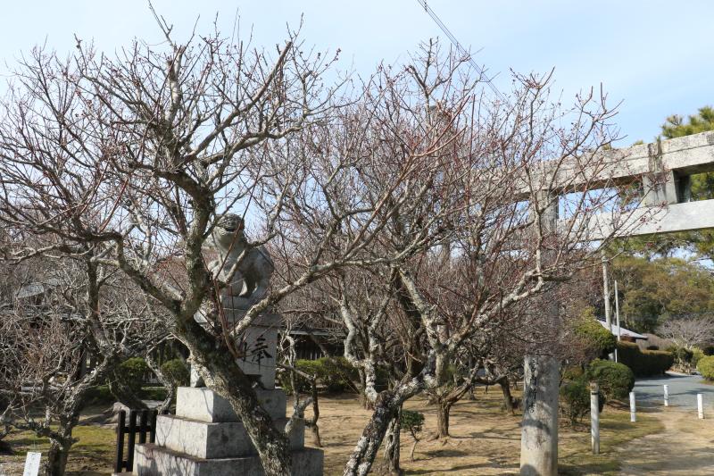 梅ー07