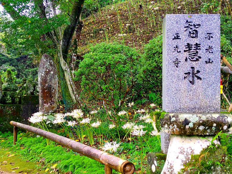 9月18日⑤