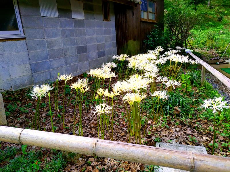 9月20日②