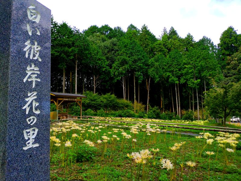 9月20日③