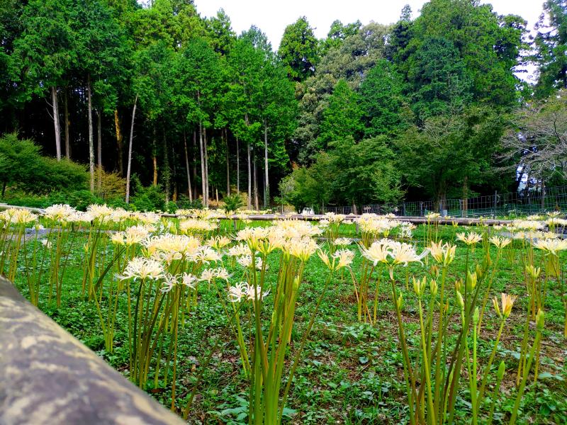 9月20日④