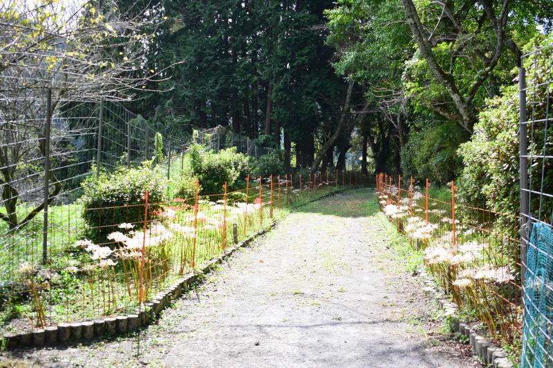 DSC_0037.JPG