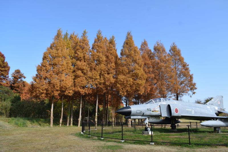 1127-5.JPG
