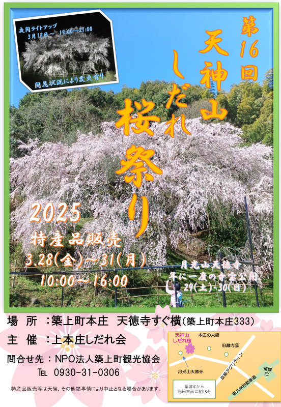 sakuramatsuri2025.png
