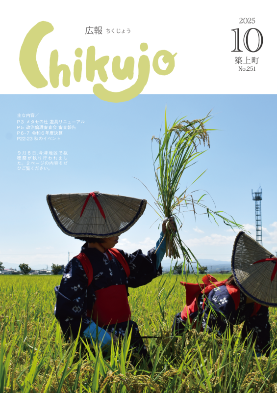 cover_251_10.png