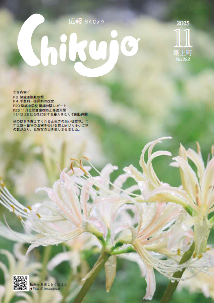 cover_252_11.png