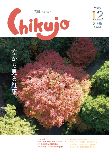 cover_253_12.png