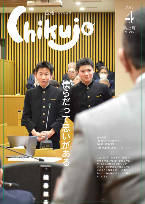 cover245.png