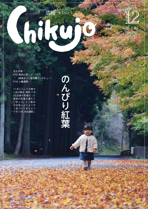 cover241.png