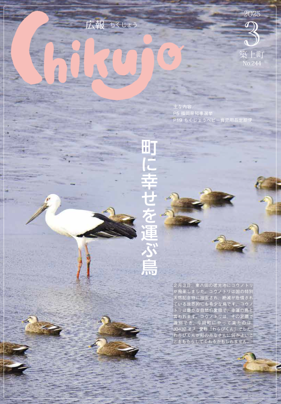 cover244.png