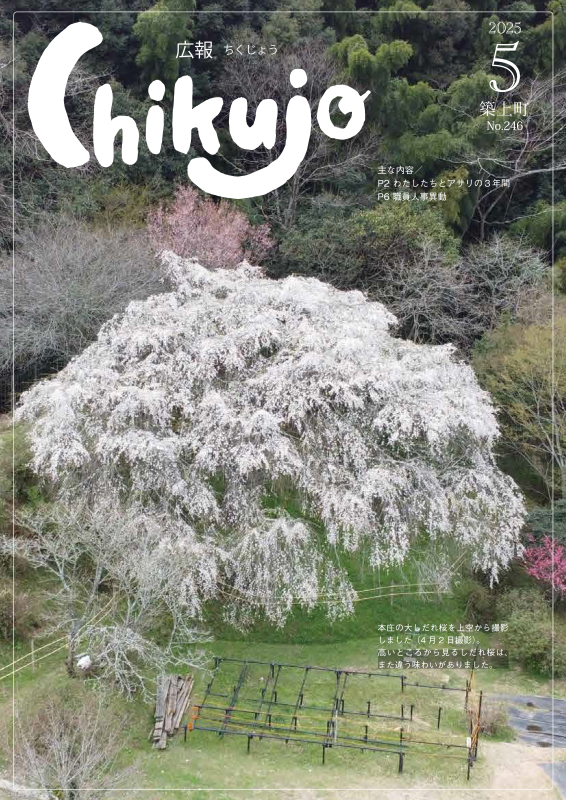 cover246.png