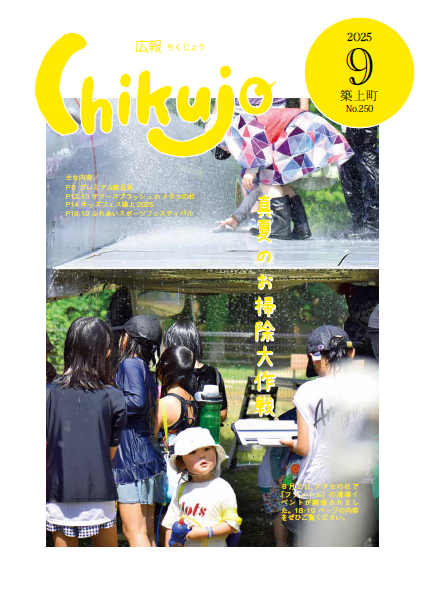 cover_250.png