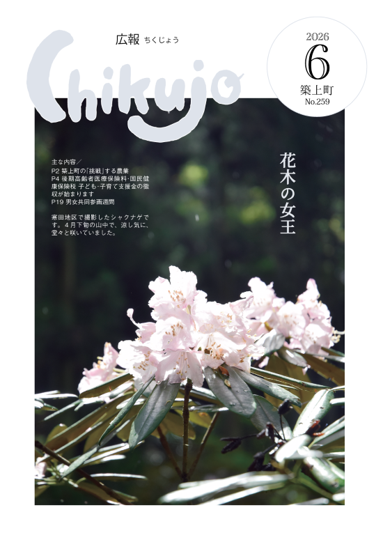 cover_No.259_R0806.png